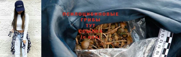 винт Майский