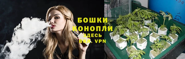 винт Майский