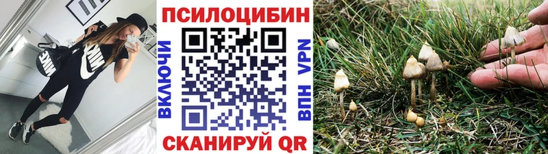 Галлюциногенные грибы мухоморы  Купить закладки  Валдай 