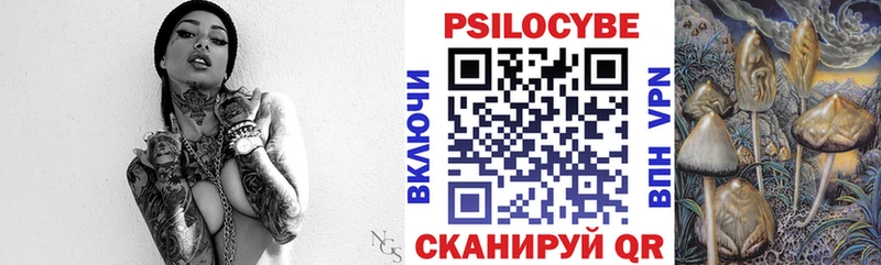 Псилоцибиновые грибы GOLDEN TEACHER Валдай