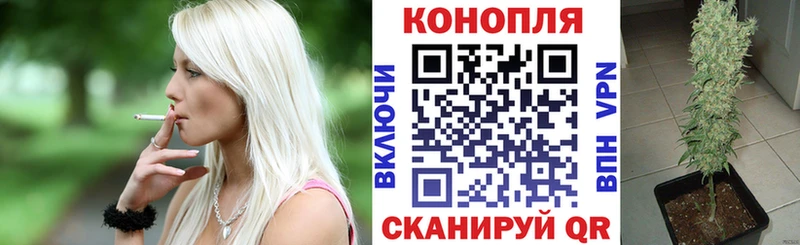 Купить  Валдай  Конопля гибрид 